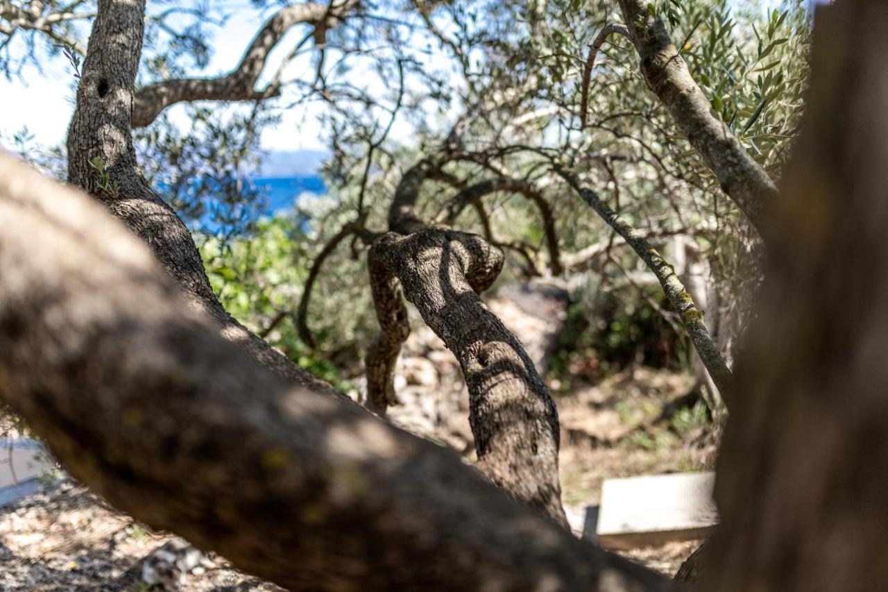 ヴェラ・ルカ Olive'S Garden Houseヴィラ エクステリア 写真