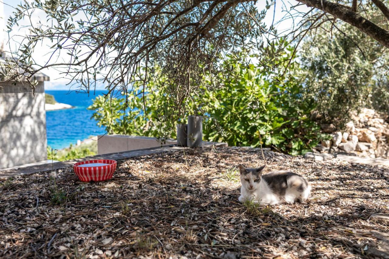 ヴェラ・ルカ Olive'S Garden Houseヴィラ エクステリア 写真